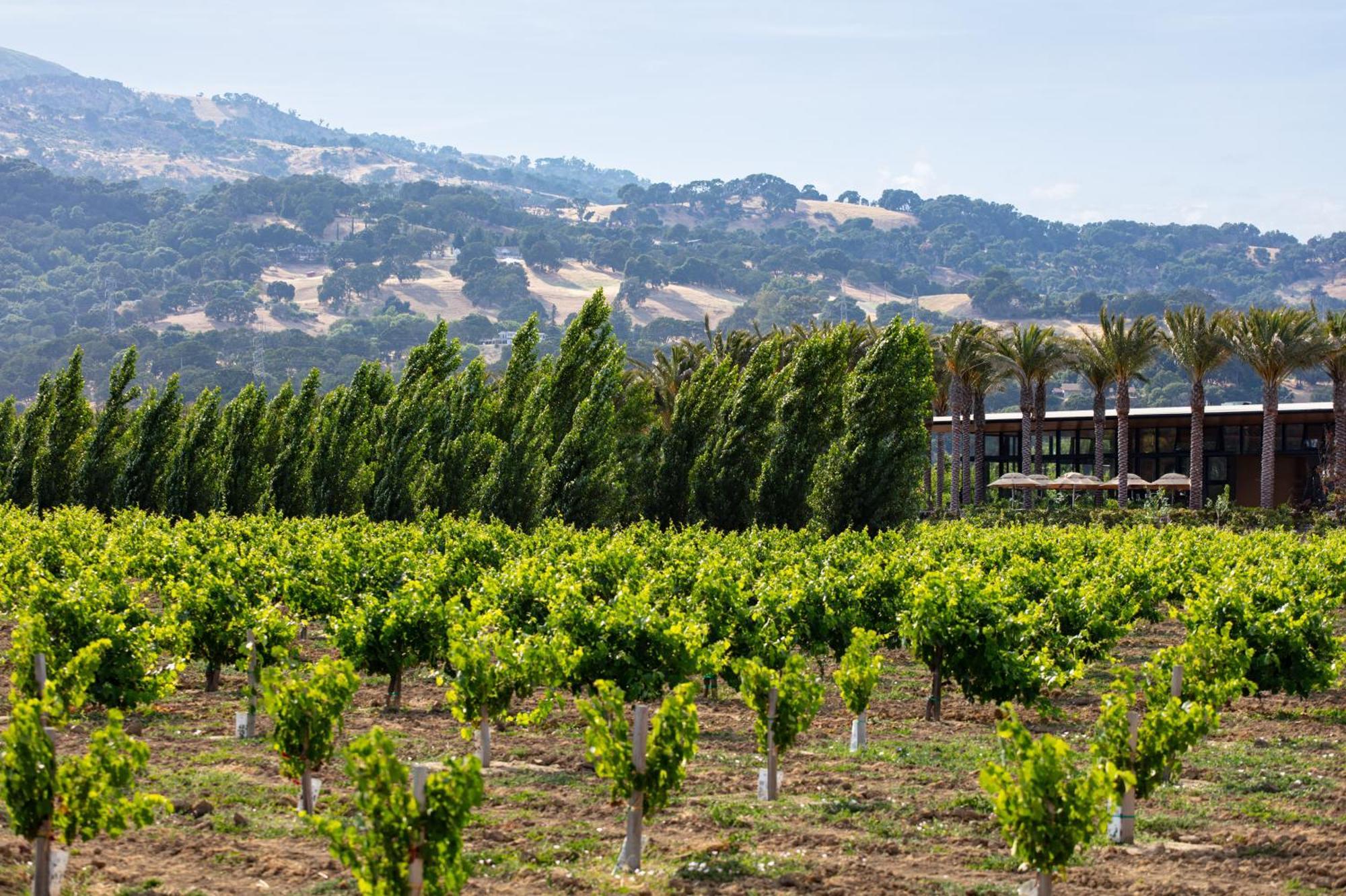 Homewood Suites By Hilton Fairfield-Napa Valley Area Cordelia Buitenkant foto